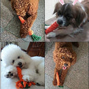 Carrot-Shaped Chewable Cotton Rope Toy For Dogs