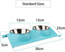 Stainless Steel Double Food and Water Bowl for Dogs