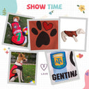 Summer T-shirt For Pets