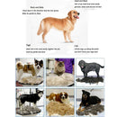 Long Hair Deshedding Tool for Dogs