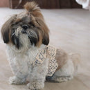 Stylish Dog Coat Costume | Formal Wedding Shirt for Pets