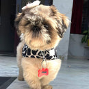 Leopard Print Velvet Jacket for Dogs