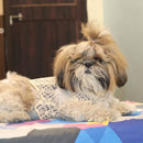 Stylish Dog Coat Costume | Formal Wedding Shirt for Pets
