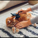 Universal Pins Slicker Brush for Big Dogs (Blue/Medium)