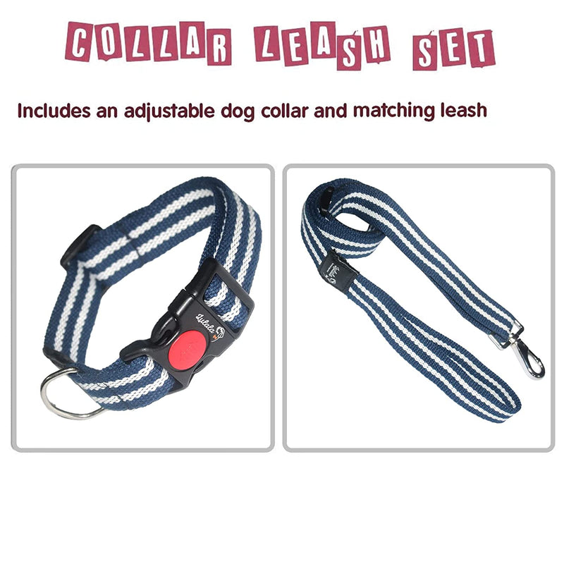 Neck Collar & Leash Set For Dogs