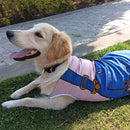 Summer T-shirt For Pets