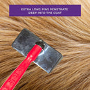 Premium Stainless Steel Pet Brush with Paw Print Handle