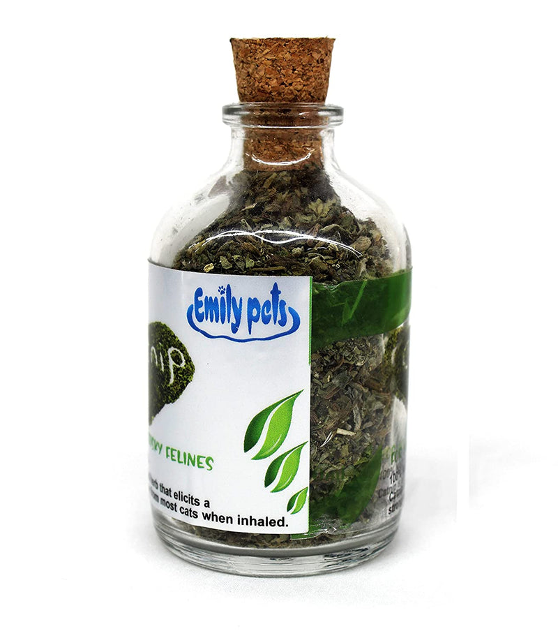 Mint Fragrance Catnip for Cats and Kittens