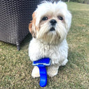 Self-Cleaning Grooming Slicker Brush Comb For Pets (Small)