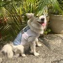 Dog Printed Teddy T-Shirt Dog Shirt Breathable For Pets (Sky Blue)