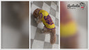 Summer T-shirt For Pets
