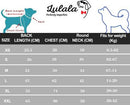Stylish Denim & Cotton Jumpsuit for Dogs