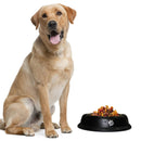 Pantone Design Stainless Steel Dog Bowl