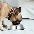 Food/Water Bowl with Rubber Ring For Pets