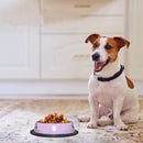 Pantone Design Stainless Steel Dog Bowl