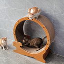 Cat Exercise Wheel for Indoor Cats