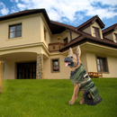 Dog Sweater, Knitted Turtleneck Cold Weather Sweater for Large Dogs