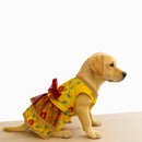 Traditional Floral Dress For Dog & Cat