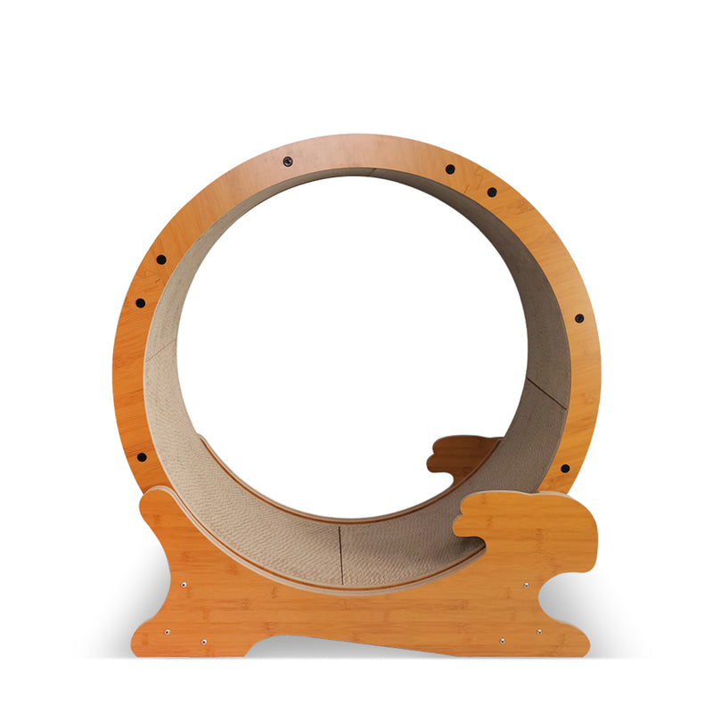 Cat Exercise Wheel for Indoor Cats