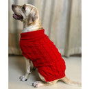 Winter Sweater For Dogs and Cats