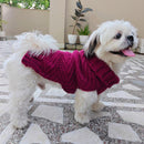 Sweater For Small Dogs Cats (Burgundy)