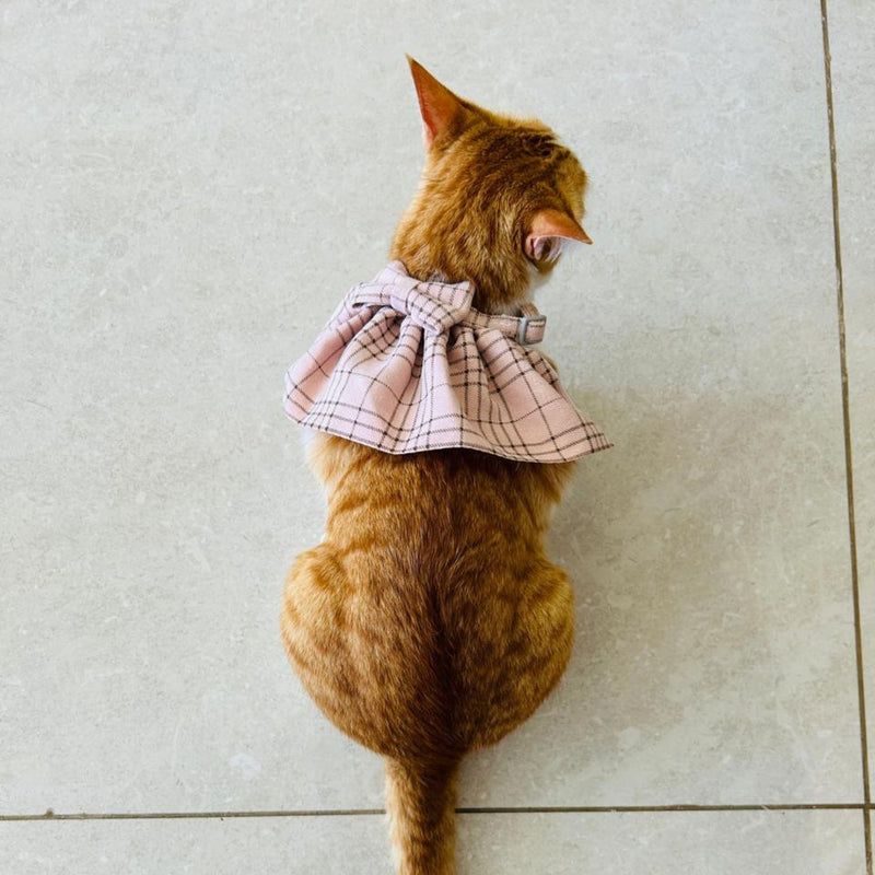 STYLISH Cat Bow Tie Collar
