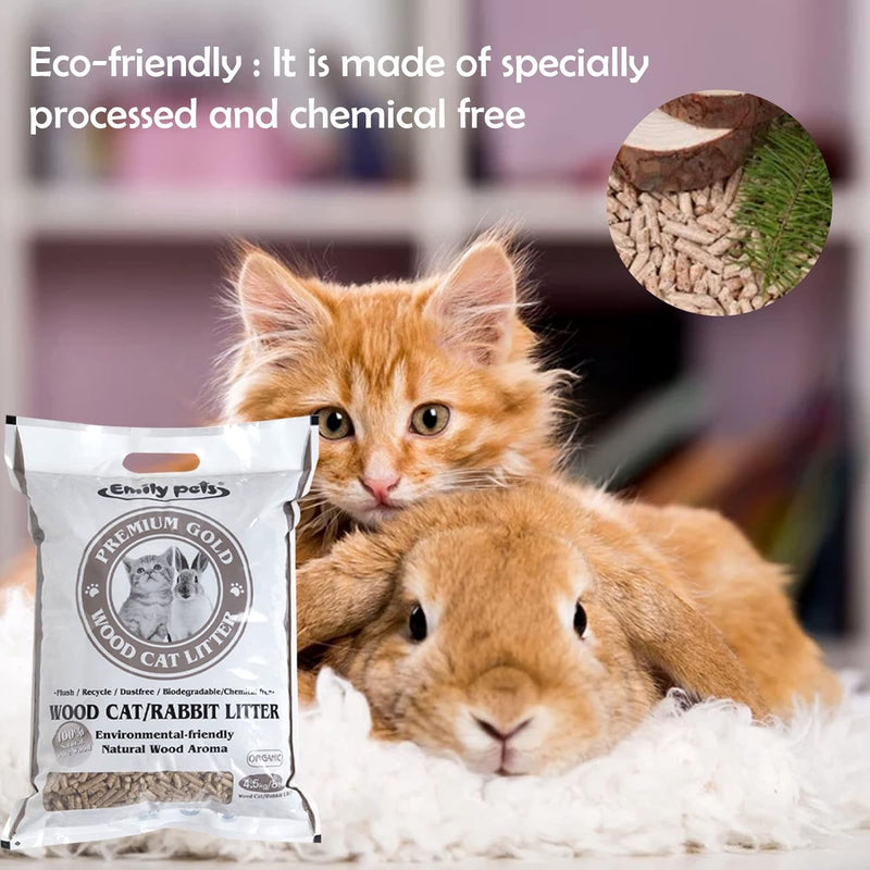 Cat Litter What Litter To Use For Rabbits How To Litter Train A