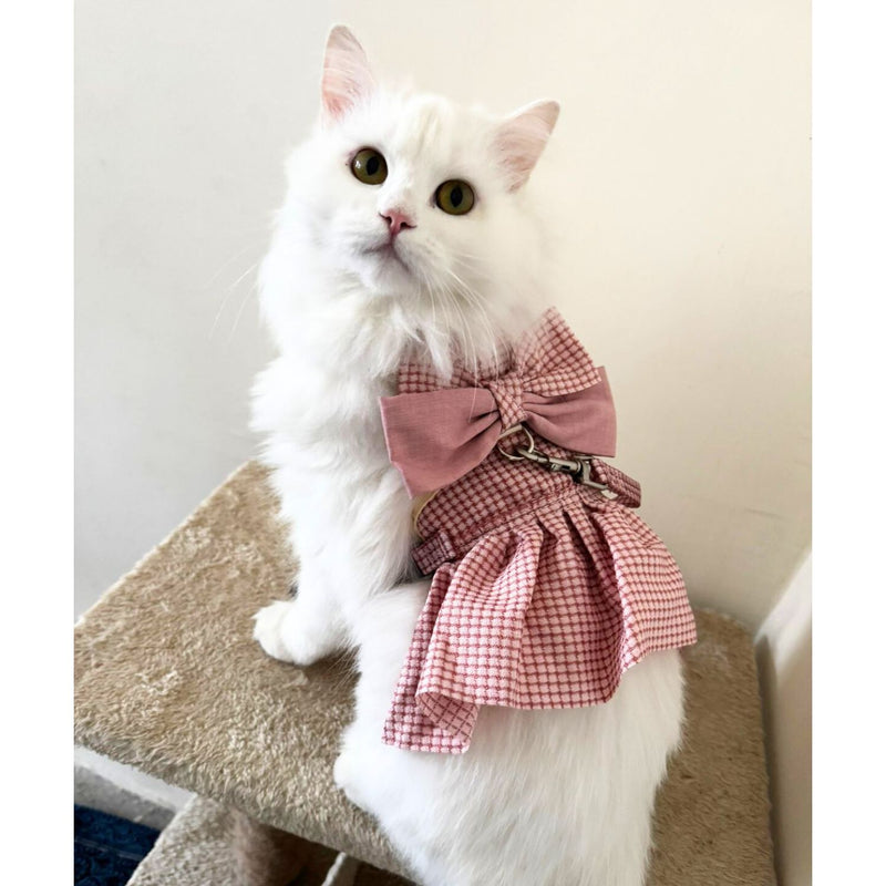 Cat Harness Dress with Bow