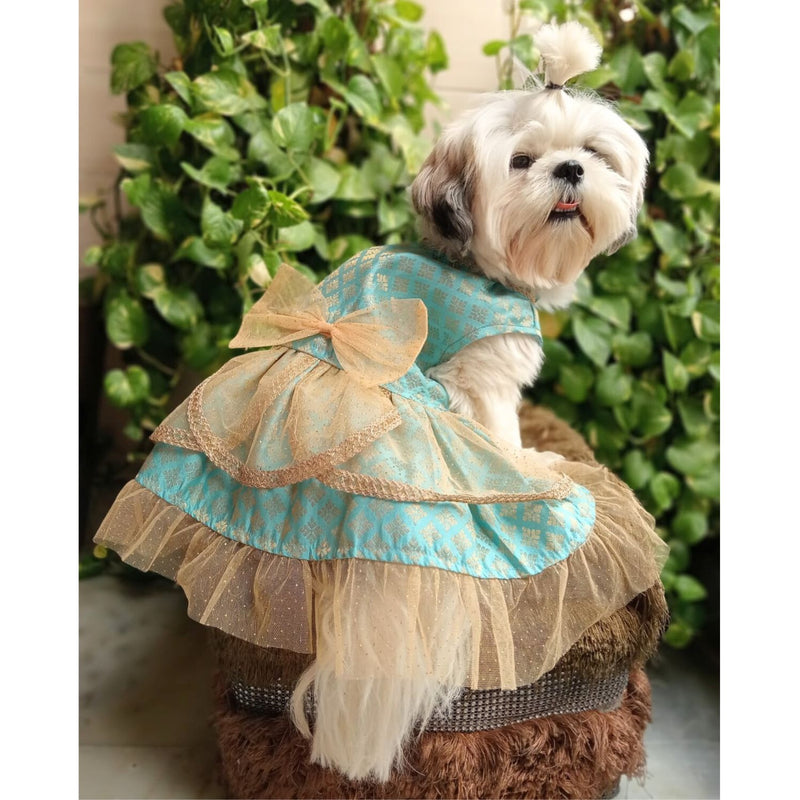 Traditional Dog Dress for Small, Medium & Large Dogs Traditional Dog Dress for Small, Medium & Large Dogs