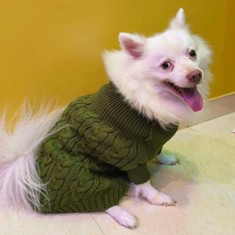 Winter Sweater For Dogs and Cats