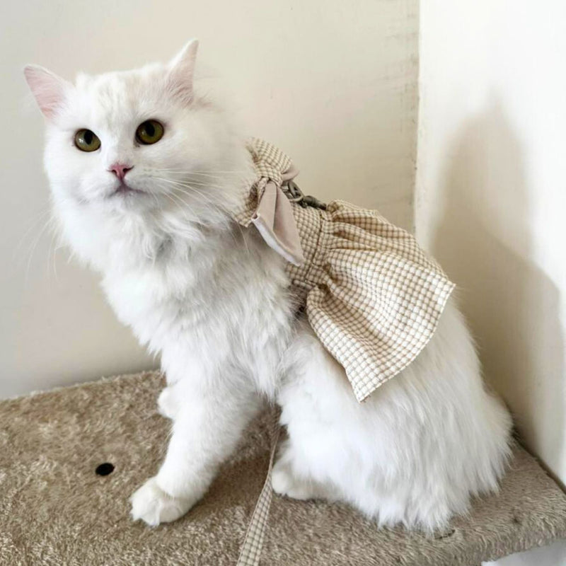 Cat Harness Dress with Bow