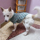 Winter Sweater For Dogs and Cats ( Sea Green )