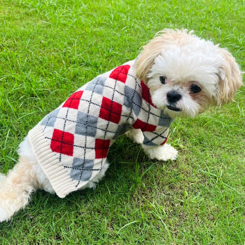 Winter Sweater For Dogs and Cats ( Cream )