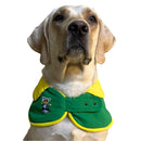 Stylish Cape Collar with Rap Bear Print For Dog ( Green/Yellow )
