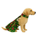 Ethnic Golden Dress with Ruffled Sleeves For Female Dogs