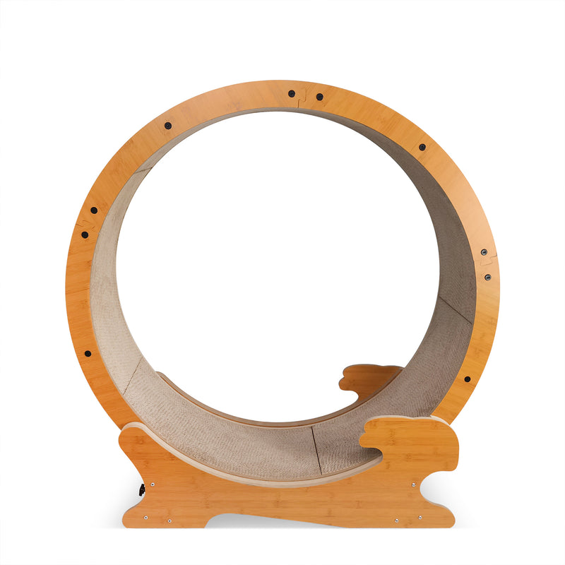 Cat Exercise Wheel for Indoor Cats