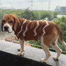 Winter Sweater For Dogs and Cats ( Light Brown )