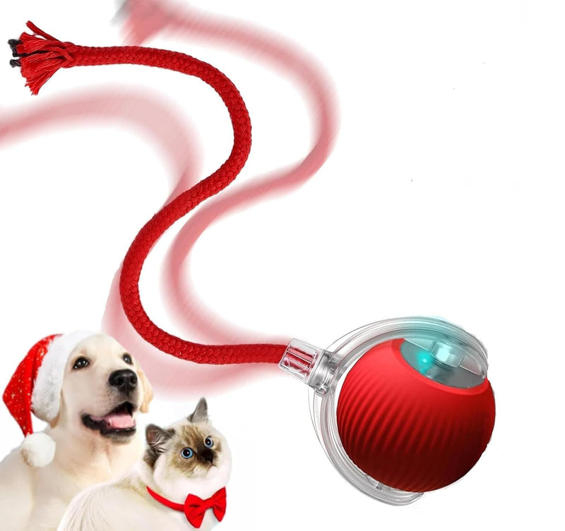 Interactive Cat Toy Ball for Indoor Cats