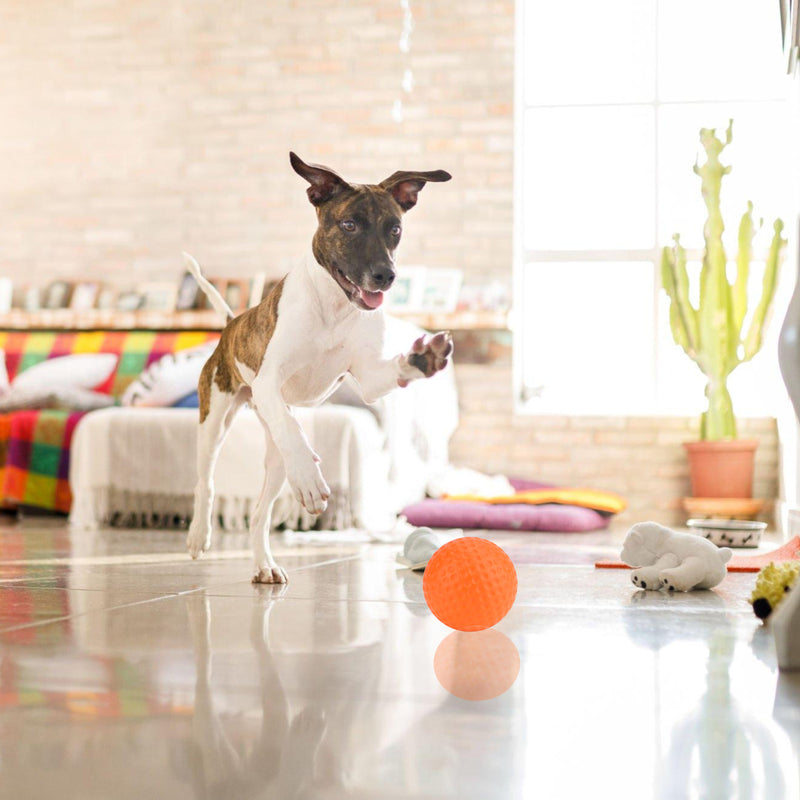 Squeaky Rubber Chew Ball Toy for Dogs