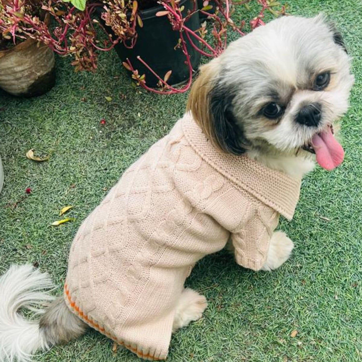 Winter Sweater For Dogs and Cats - Main Image