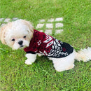 Winter Sweater For Dogs and Cats ( Maroon )