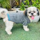 Winter Sweater For Dogs and Cats