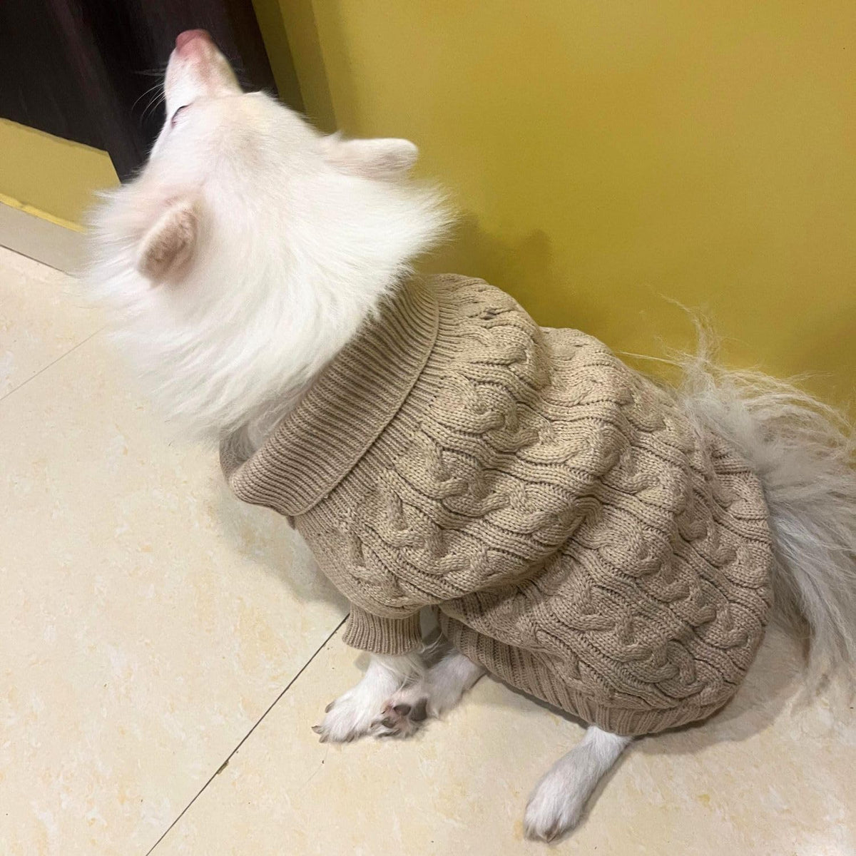 Winter Sweater For Dogs and Cats Cream - Main Image