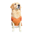 Dog Knitted Sweater for Winter - Orange