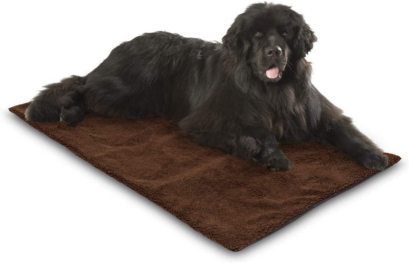 Self-Heating Pet Bed Mat for Cats & Dogs