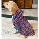 Waterproof Hooded Raincoat For Dog Cat