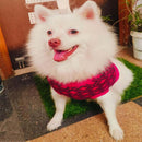 Winter Sweater For Dogs and Cats