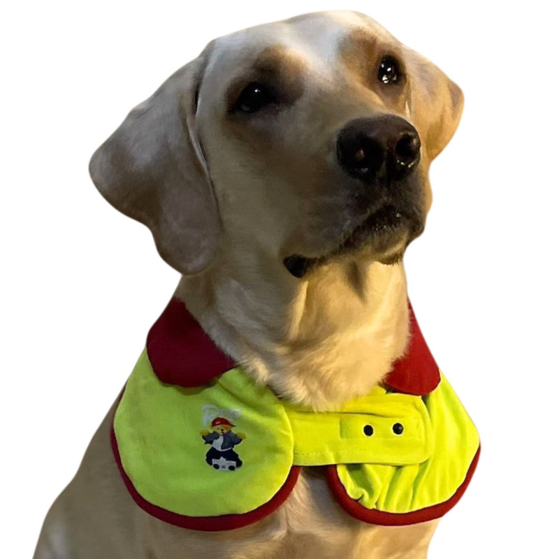 Pet Dog Cape Collar