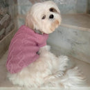 Winter Sweater for Small Dogs