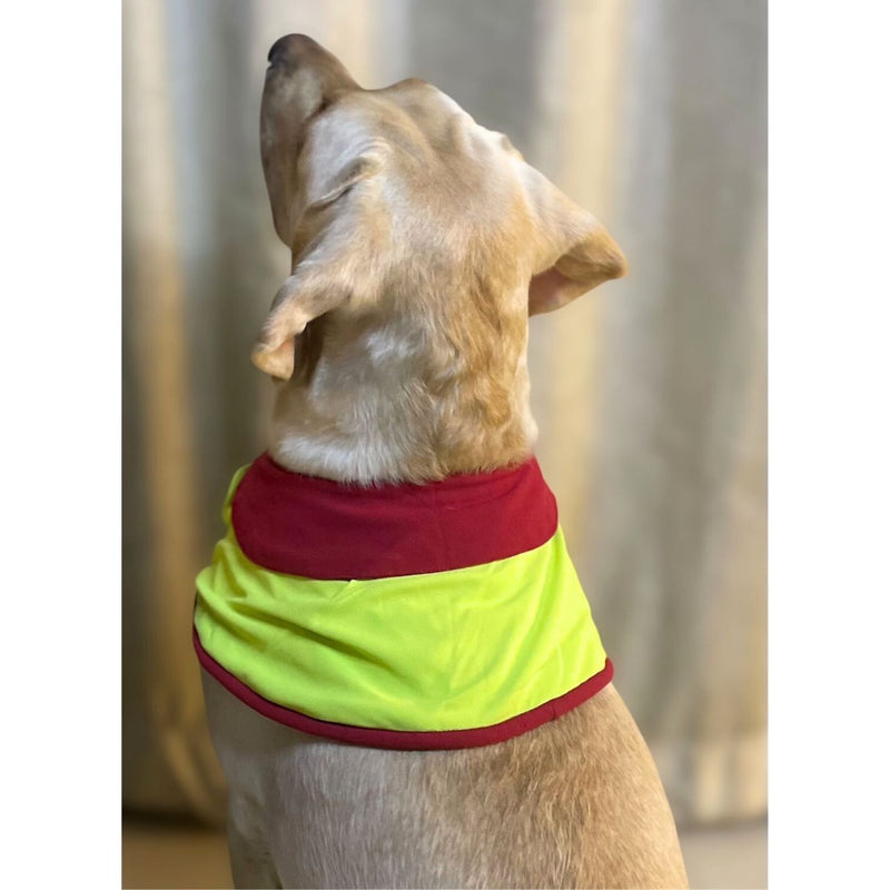 Pet Dog Cape Collar
